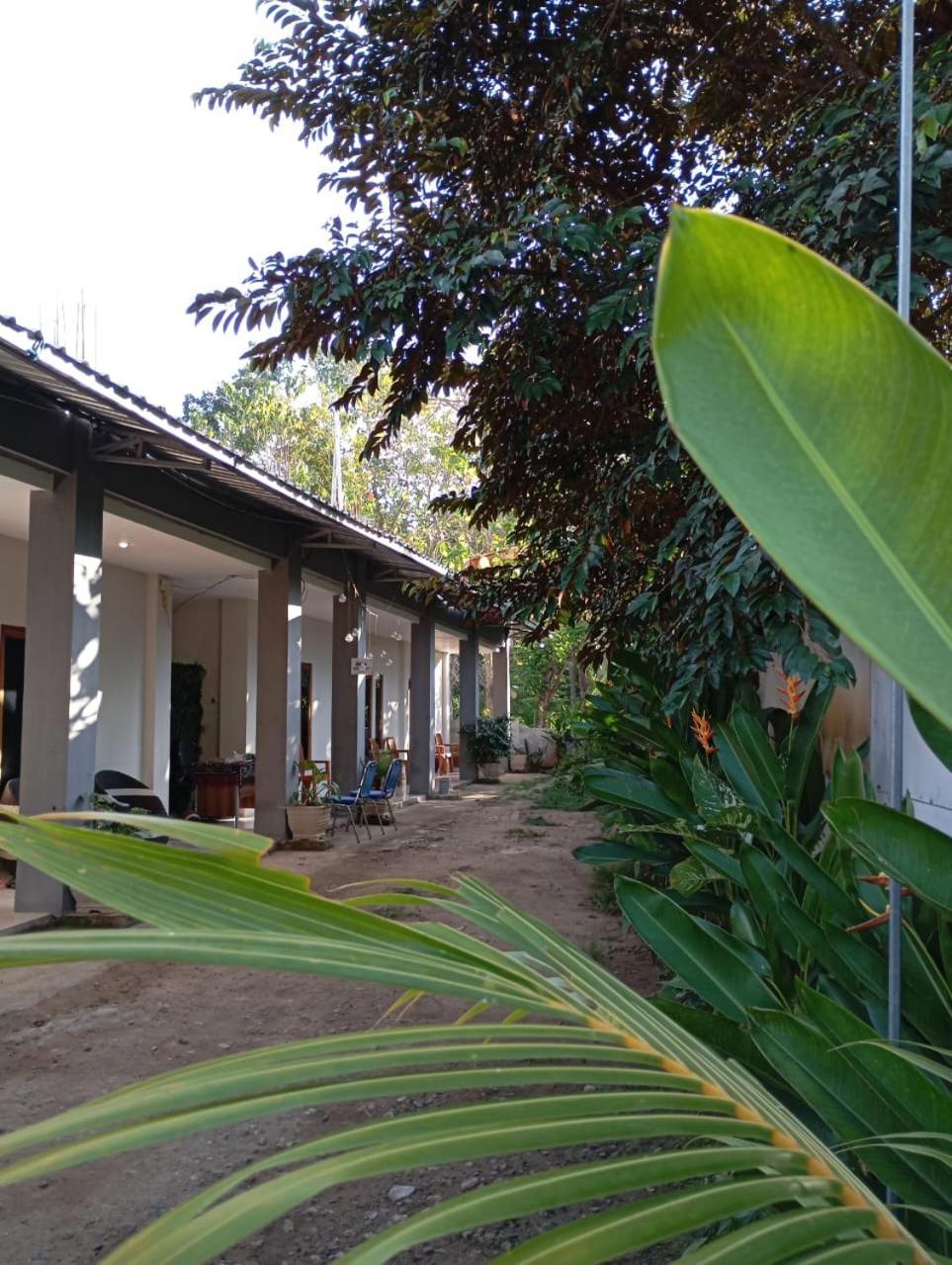 Wl Guesthouse Labuan Bajo Exterior foto