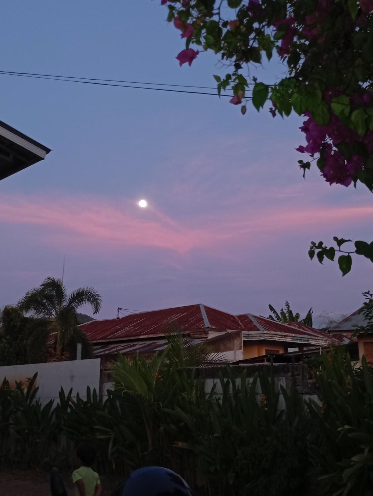 Wl Guesthouse Labuan Bajo Exterior foto
