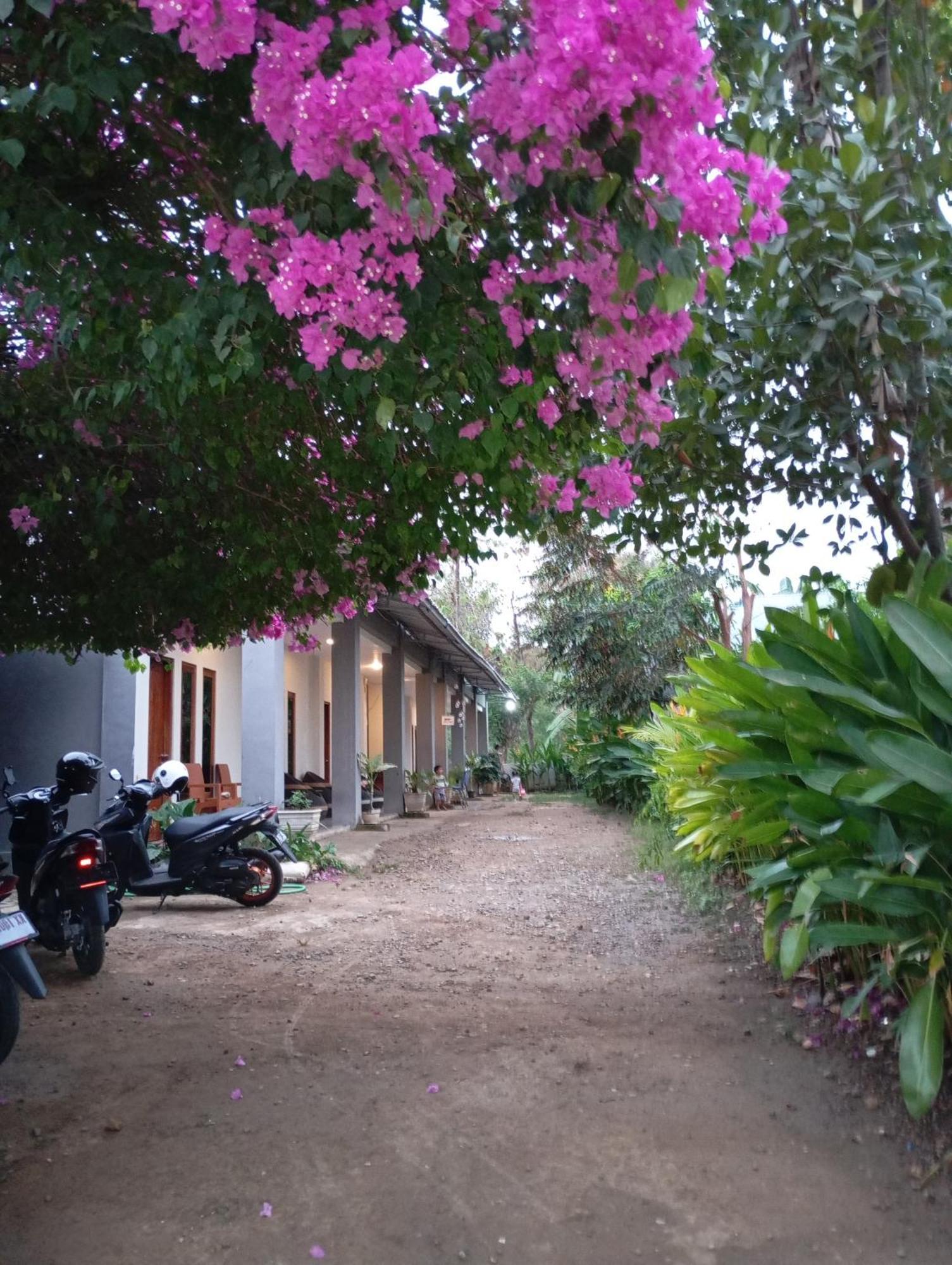 Wl Guesthouse Labuan Bajo Exterior foto