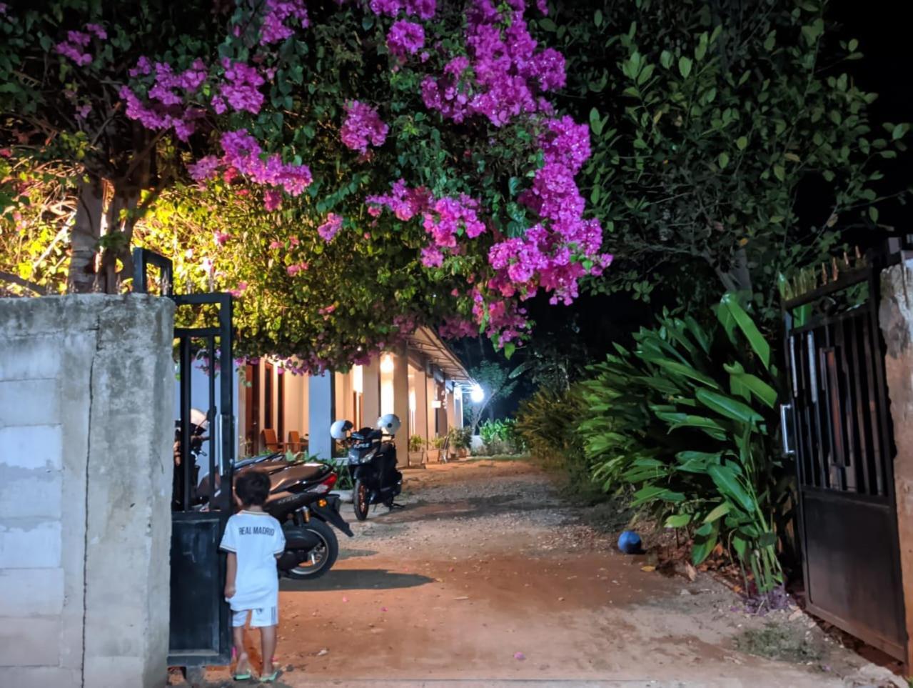 Wl Guesthouse Labuan Bajo Exterior foto
